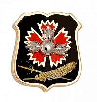 Знак "ГРУ РФ"